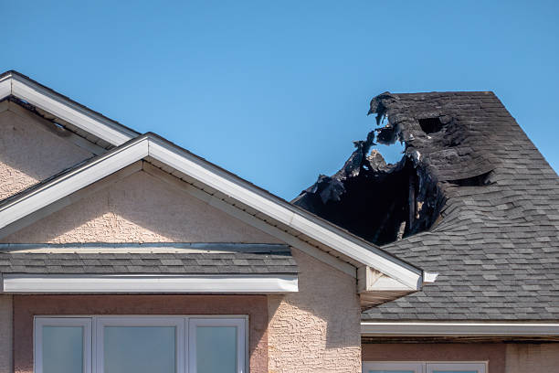 Top rated local Fire Damage Removal specialists in Prosper, TX